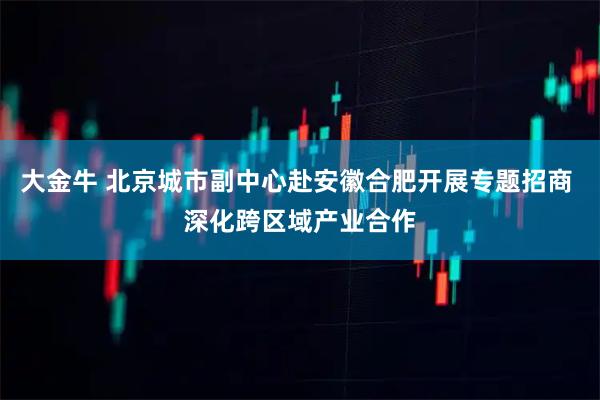 大金牛 北京城市副中心赴安徽合肥开展专题招商 深化跨区域产业合作
