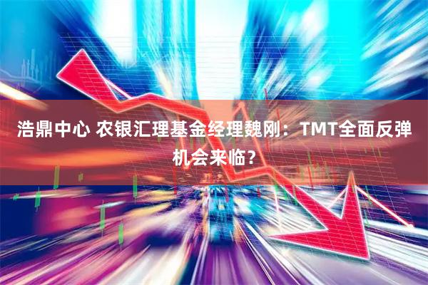 浩鼎中心 农银汇理基金经理魏刚：TMT全面反弹机会来临？