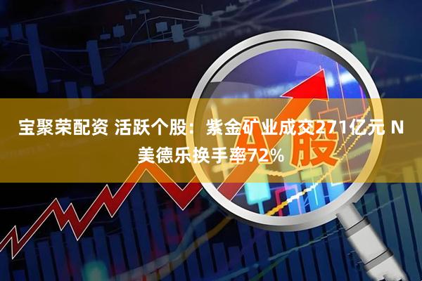 宝聚荣配资 活跃个股：紫金矿业成交271亿元 N美德乐换手率72%