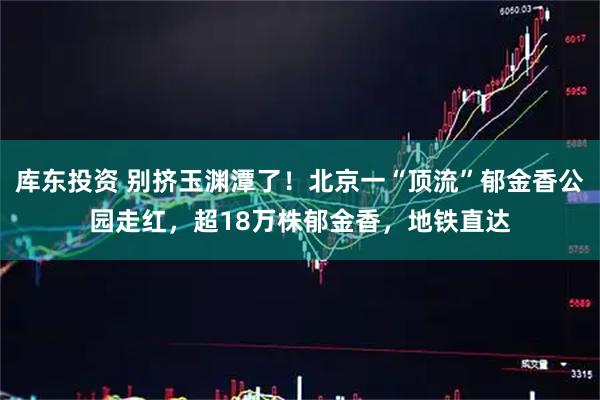 库东投资 别挤玉渊潭了！北京一“顶流”郁金香公园走红，超18万株郁金香，地铁直达